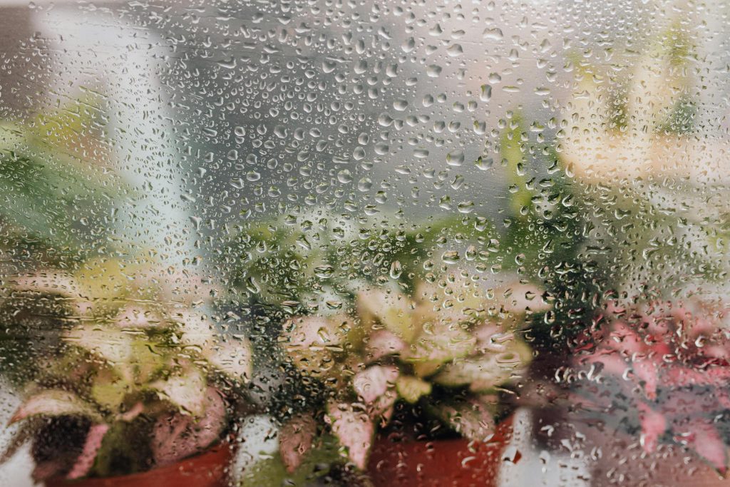 What Humidity Should My House Be in Summer? A Comprehensive Guide