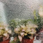 What Humidity Should My House Be in Summer? A Comprehensive Guide