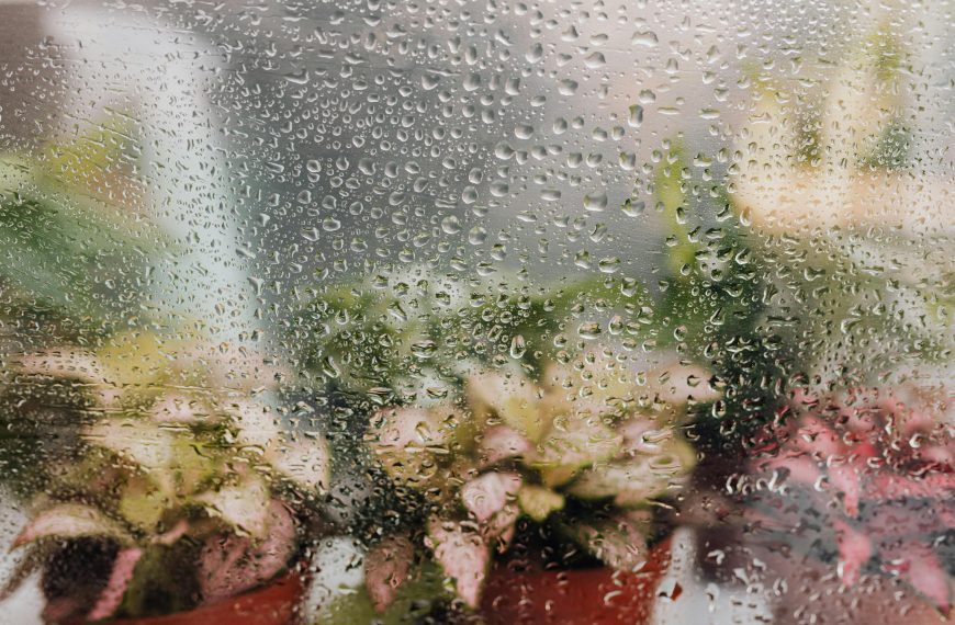 What Humidity Should My House Be in Summer? A Comprehensive Guide